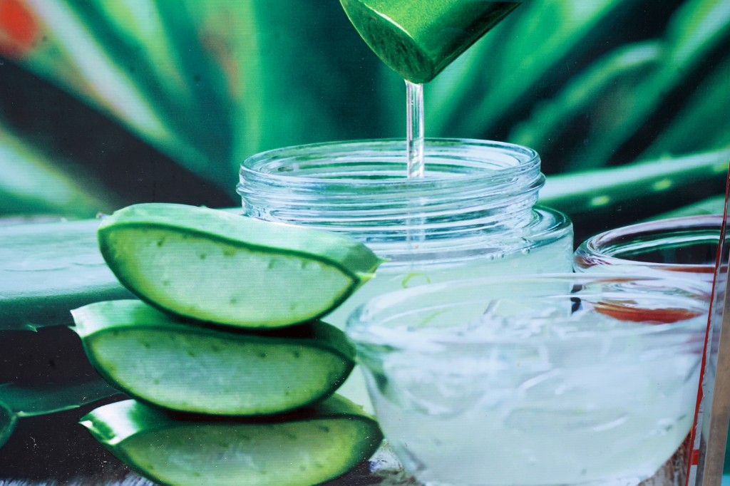 Aloe Vera Juice Bar — Vavuniya Branch - Photo 2